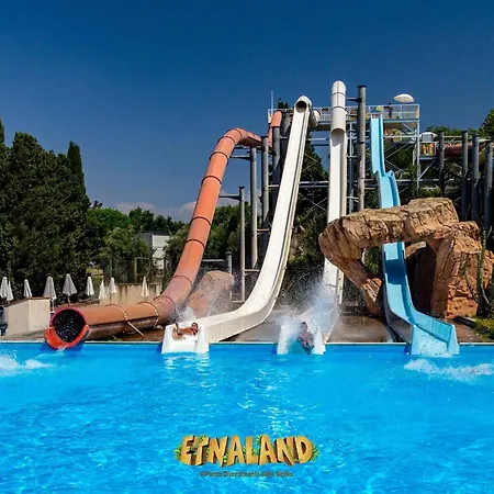 Oliva فيلة Aci Catena